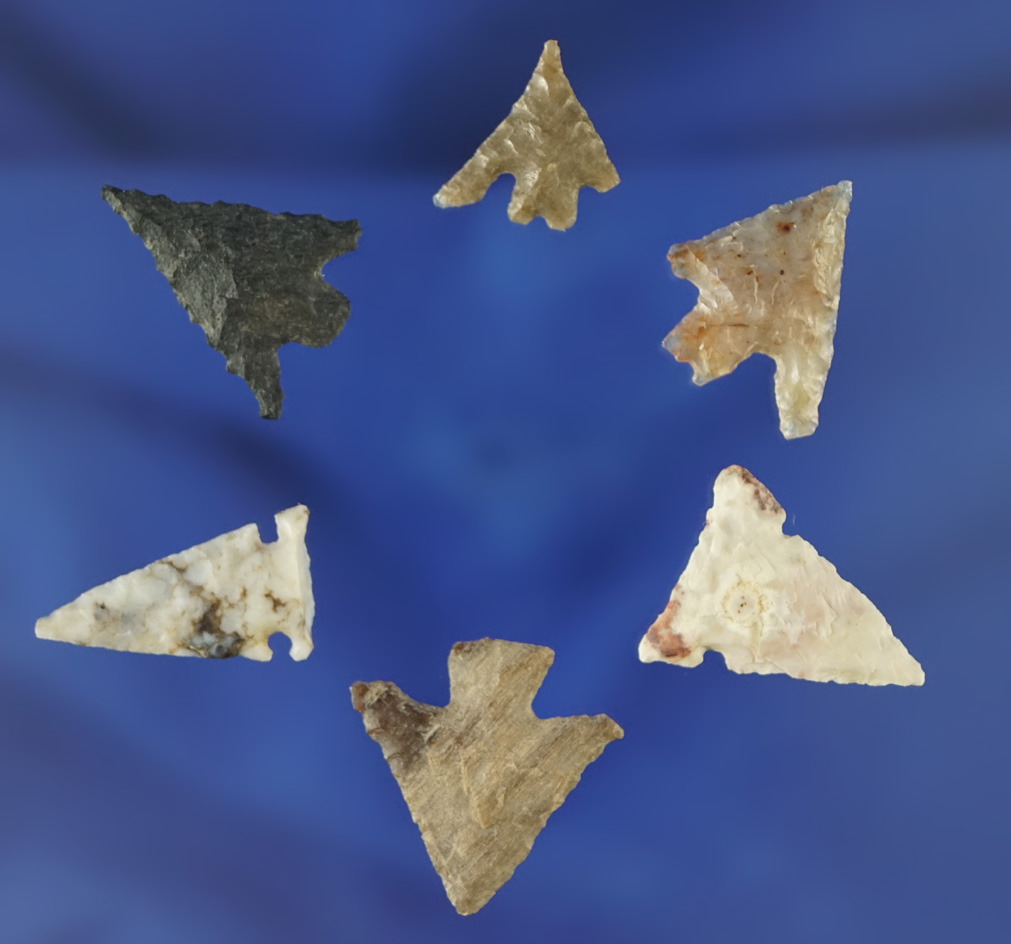 Set of six nice arrowheads found near the Columbia River, largest is 3/4".