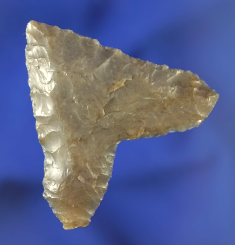 1 5/8" Columbia Mule Ear made from high quality material found near the Columbia River.