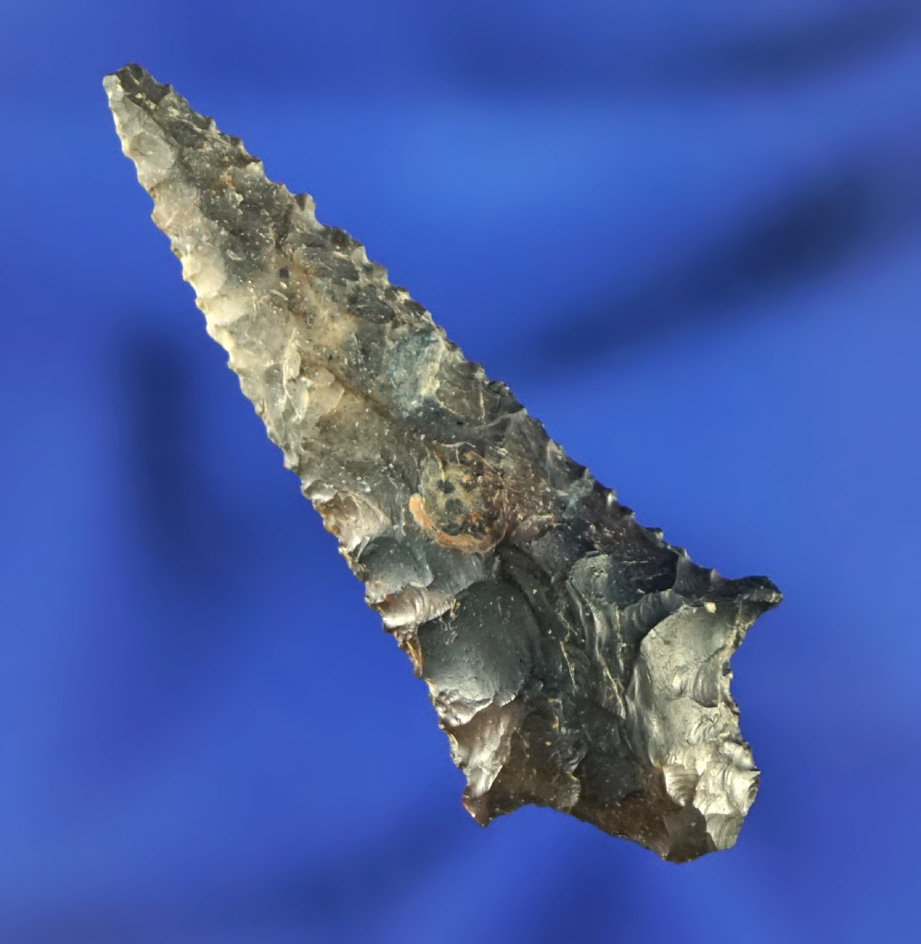 1 5/8" classic style Rabbit Island found near the Columbia River. Ex. Dean Thompson collection.