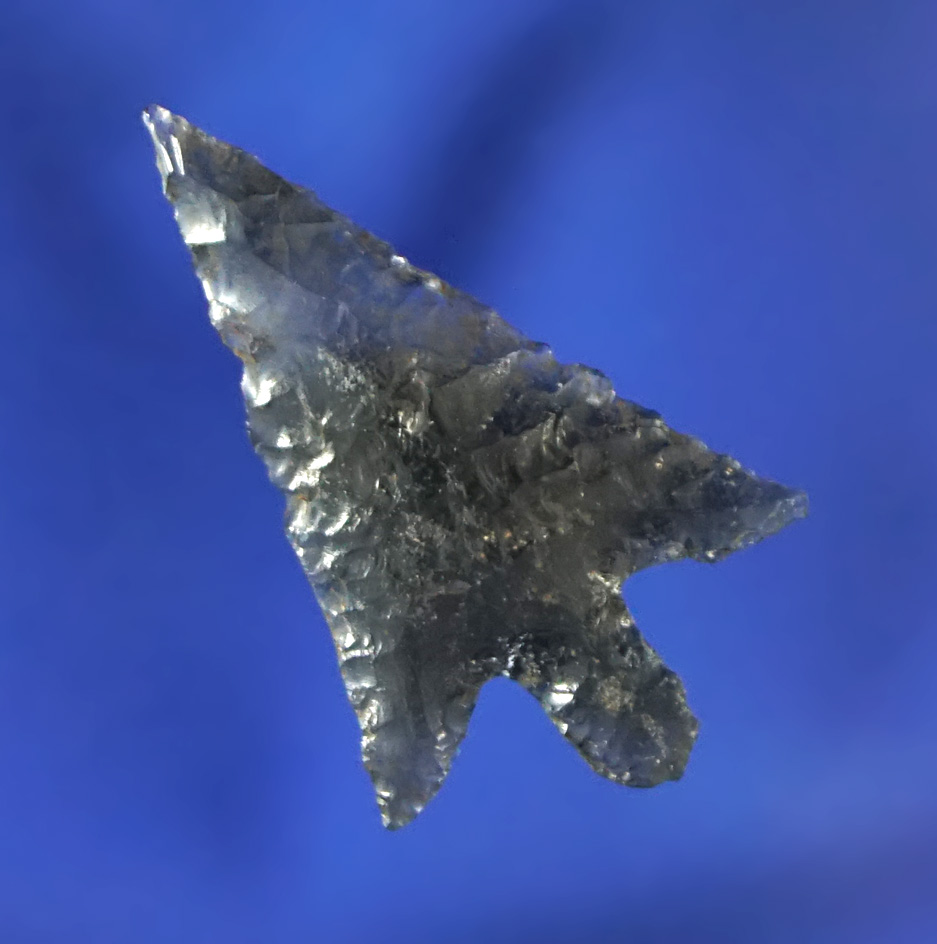 Exceptional flaking and style on this thin obsidian 1" Gempoint found near the Columbia River.