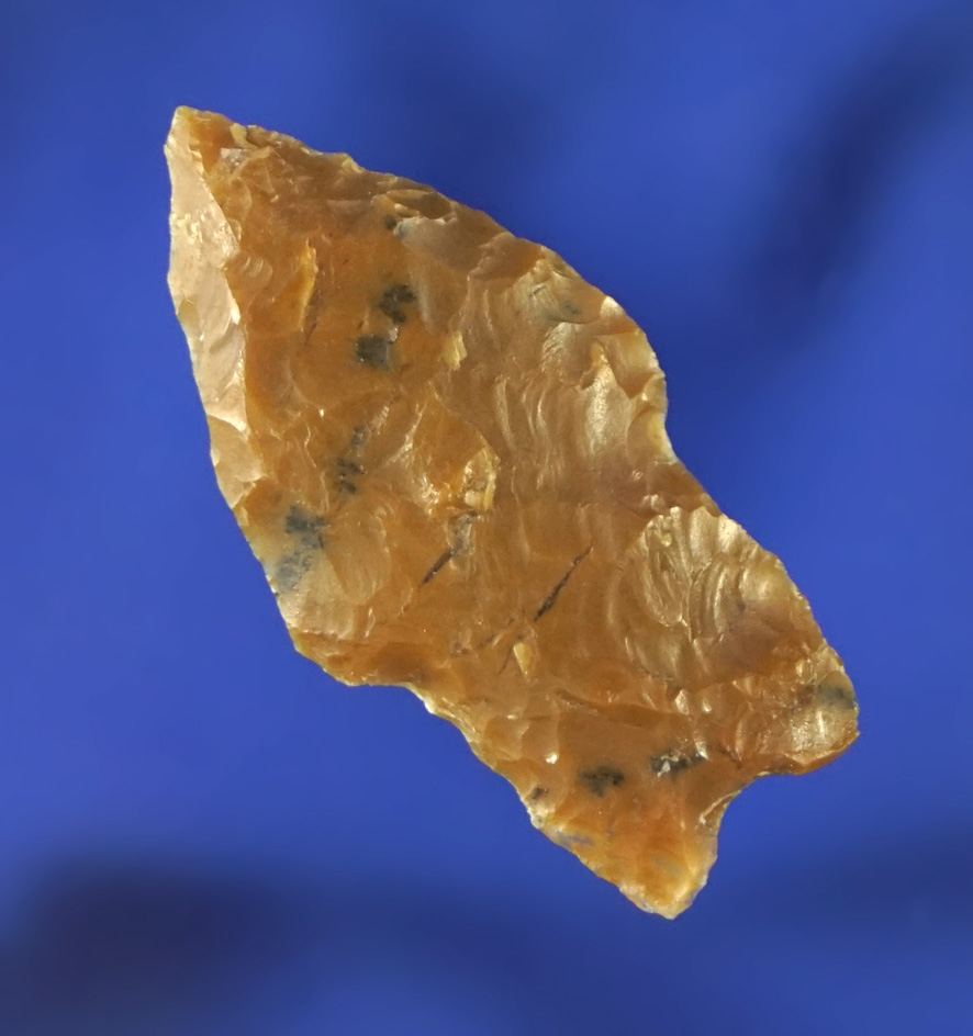 Nice style! 1 1/4" well flaked Paleo Spedis found in Oregon.