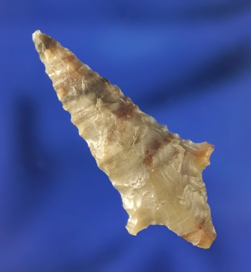 Very colorful 1 1/2" Rabbit Island found near the Columbia River in nice condition.