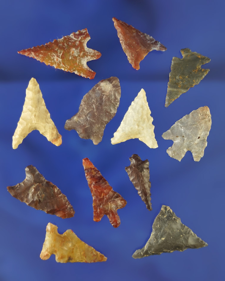 Set of 12 assorted Columbia River arrowheads in good condition, largest is 1 1/16".