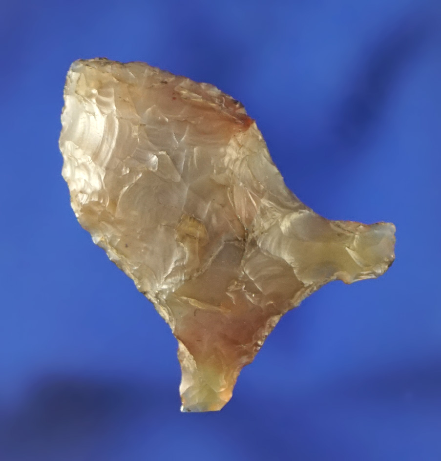 Rare style! 1 1/8" Paleo Spedis Fishtail found near the Columbia River - translucent multicolored ag