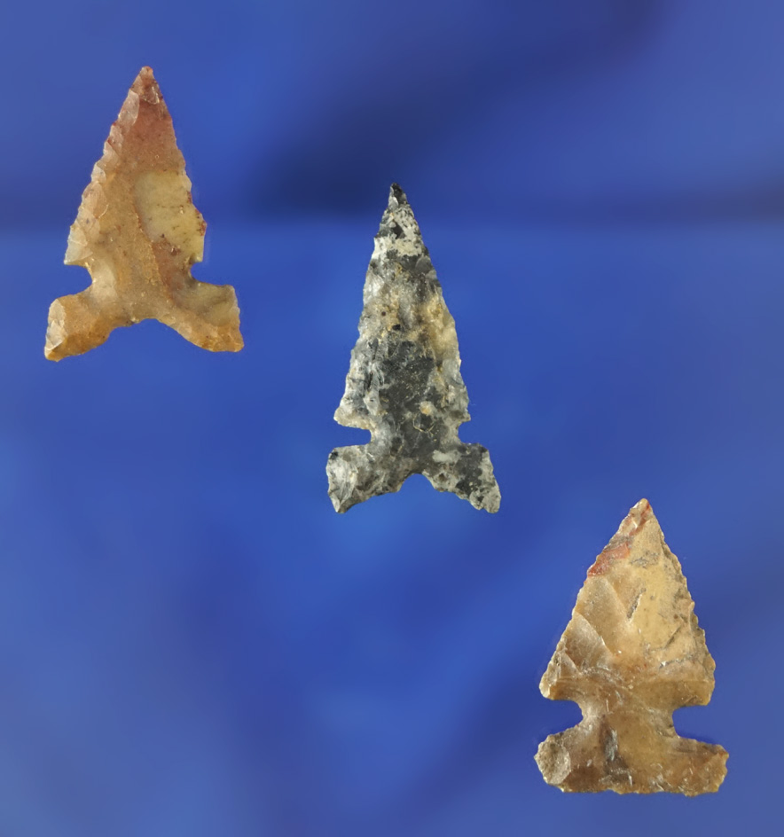 Set of three Sidenotch points in very good condition found near the Columbia River, largest is 1 1/1