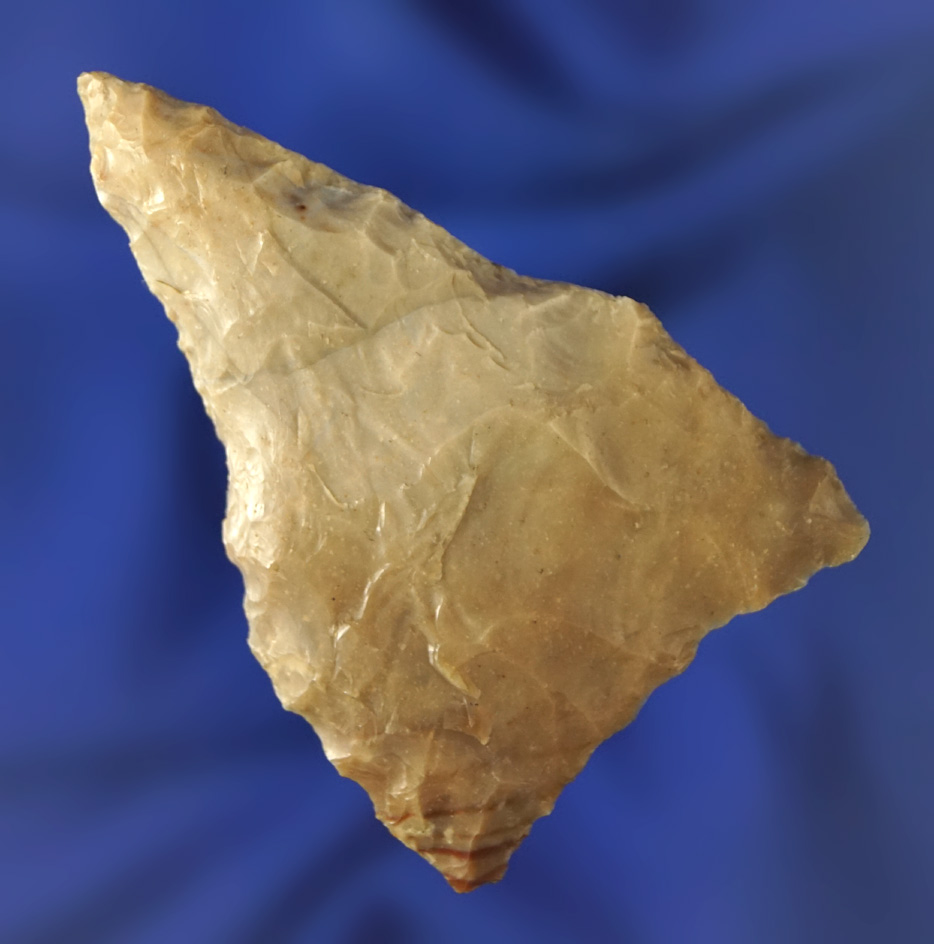 2 3/8" Columbia Mule Ear found near the Wishram area by the Columbia River. Ex. Jack Rhodes.