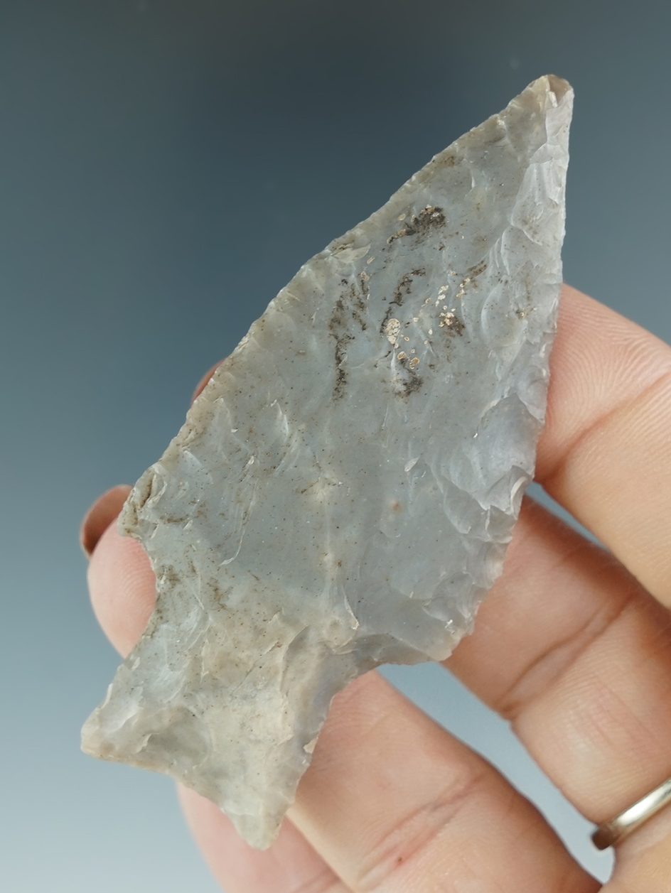 2 7/8" Bulverde Point found in Llano Co., Texas.