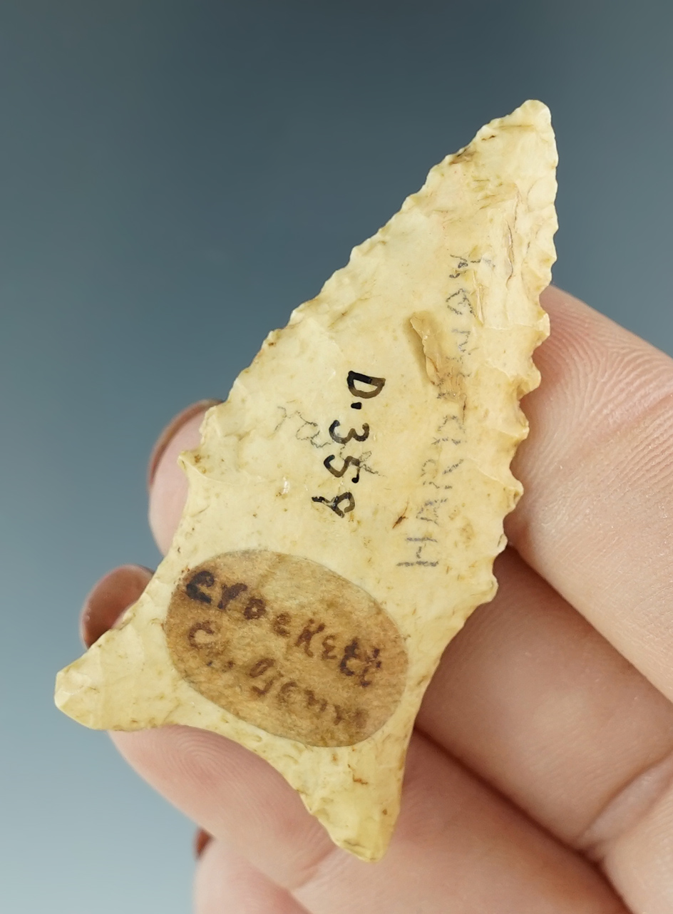 2 1/16" nicely serrated Dalton found in Crockett Co., Tennessee.