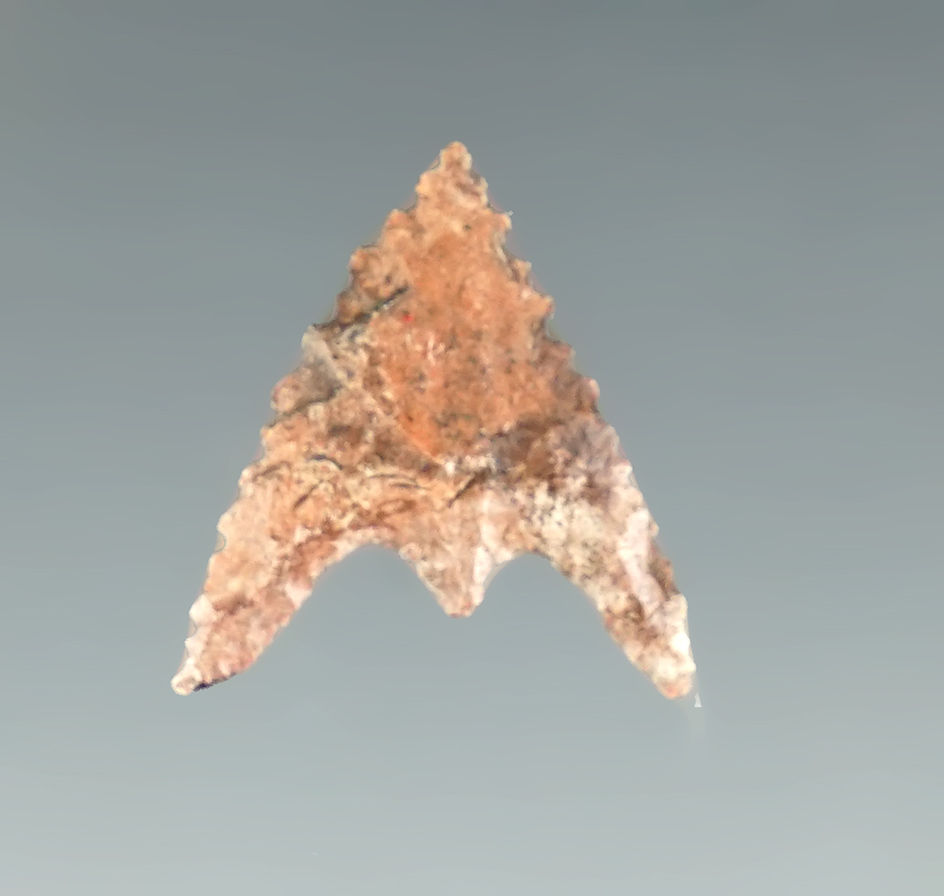 3/4" nicely serrated Jasper Gunther found in Oregon.