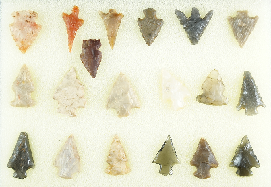 Set of 19 Columbia River and Western arrow points. Largest is 13/16".