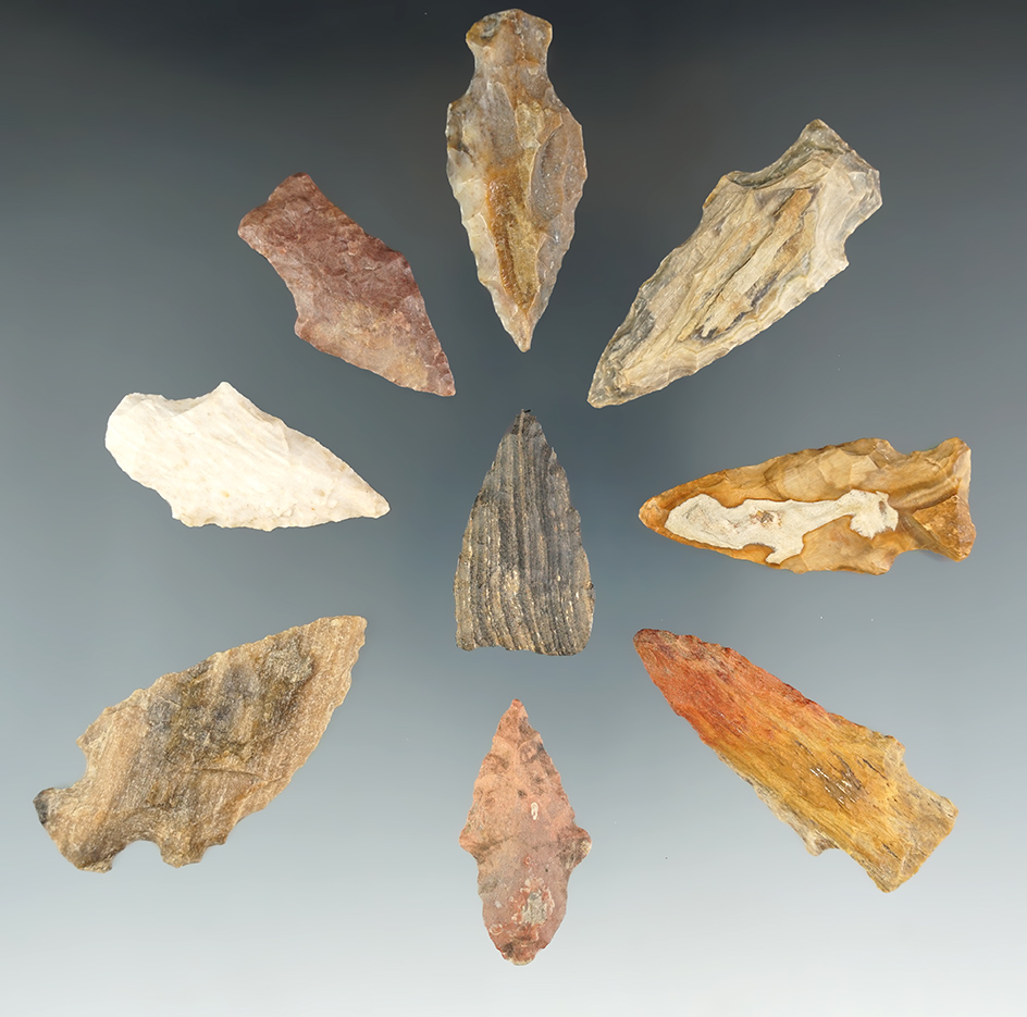 Set of eight petrified wood points found in the Texas area, largest is 2".
