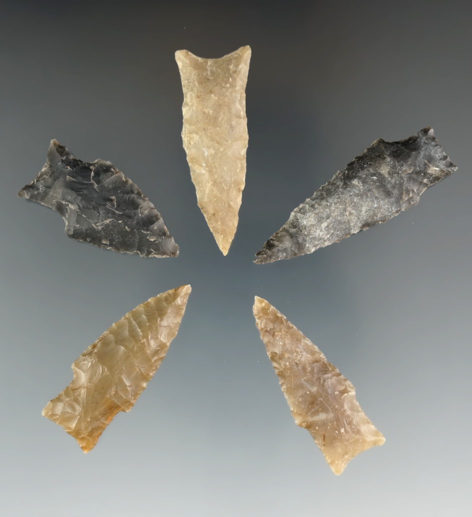 Nice set of five Darl Points found in Texas, largest is 1 15/16".