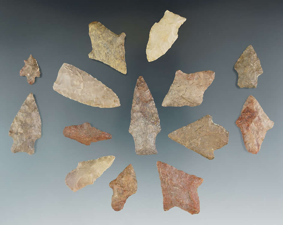 Group of 14 assorted Texas area points, nice condition. Largest is 1 3/4".