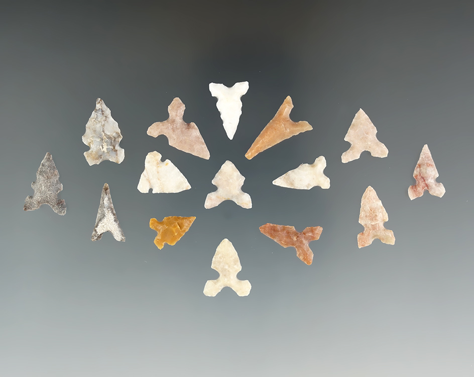 Large group of 15 assorted points found in Texas, largest is 13/16".