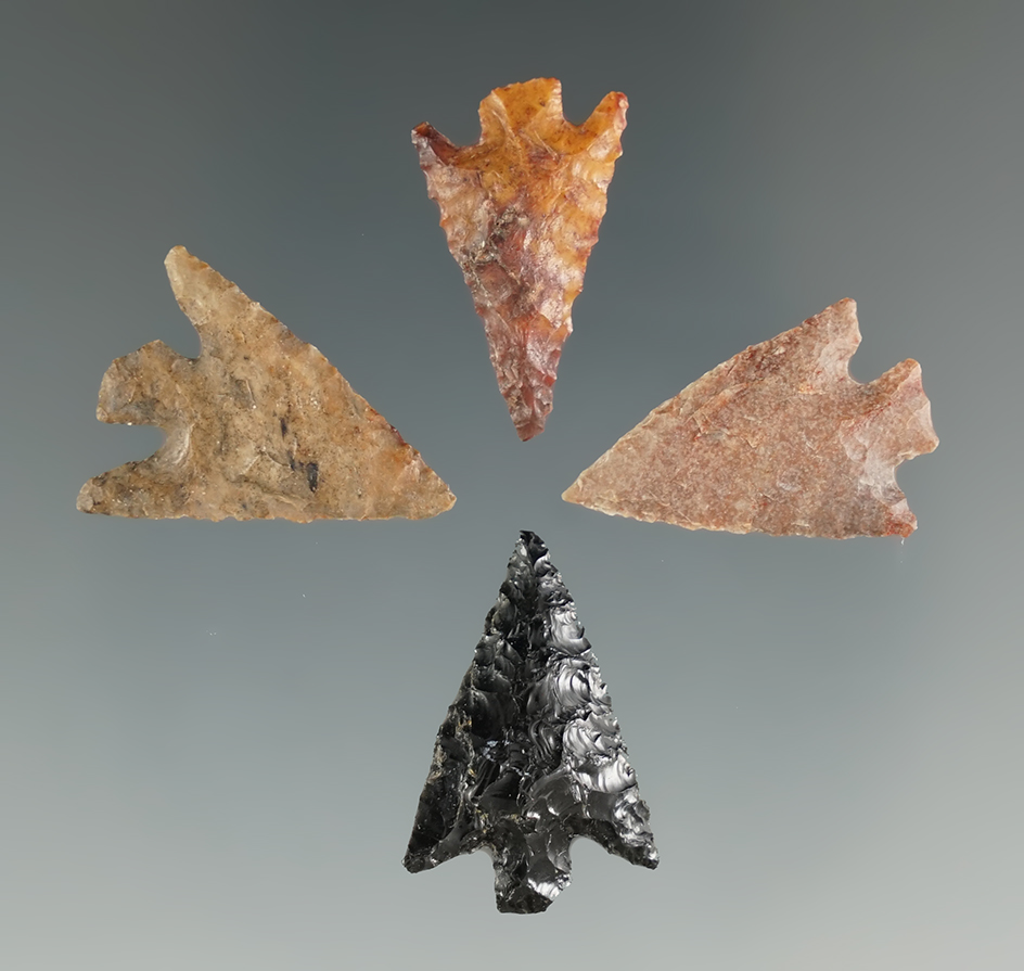 Set of four assorted Columbia River Gem points in very nice condition, largest is 15/16".