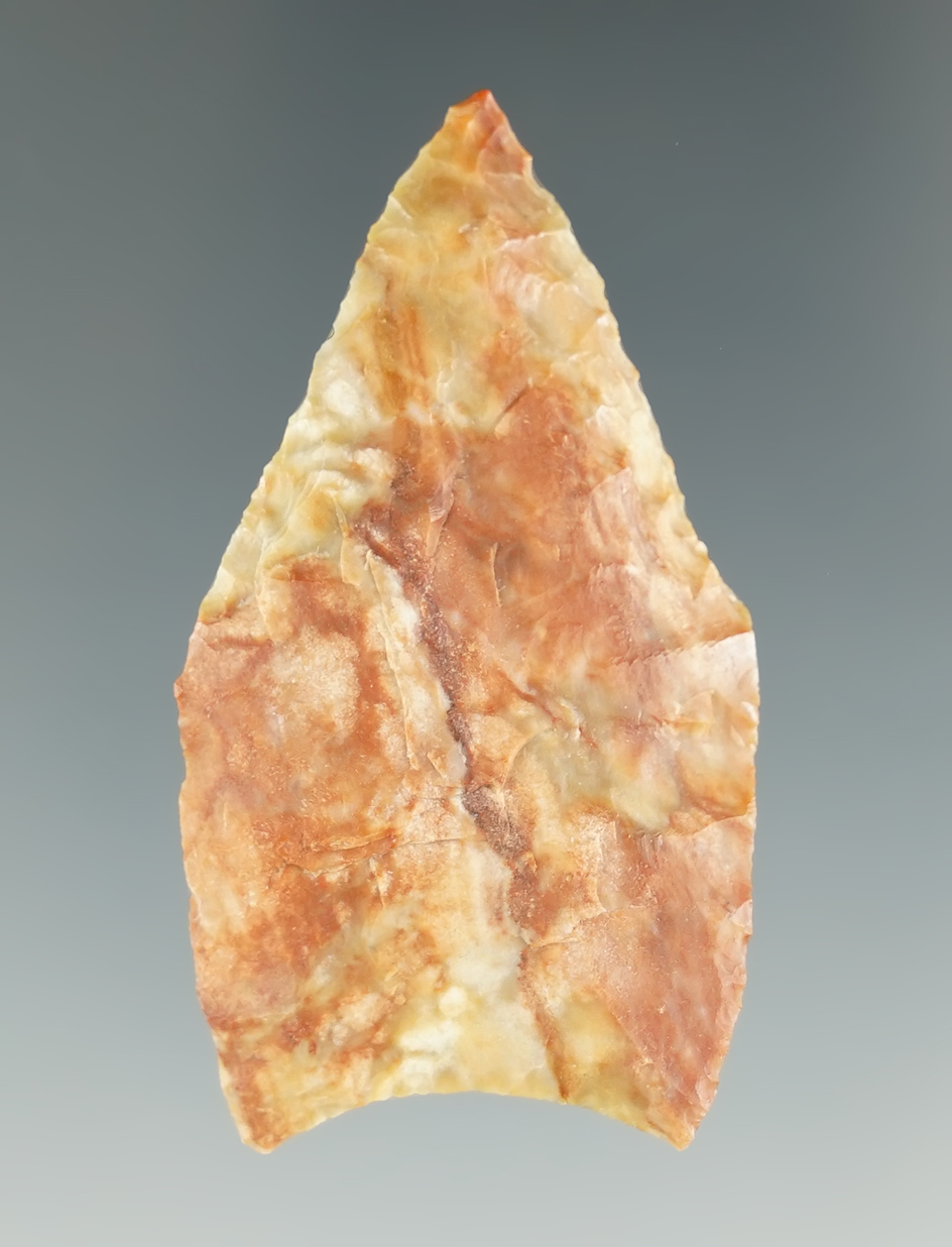 2 1/16" Paleo Concave Knife form made from very colorful petrified wood. Found in Washington.