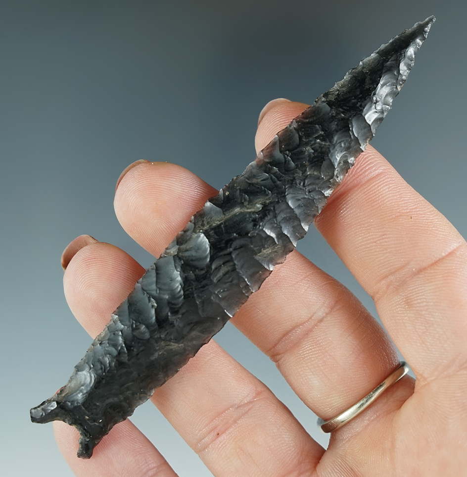 Sale Highlight! Simply incredible flaking and style on this large 3 7/8" Buchanan Eared - Oregon.