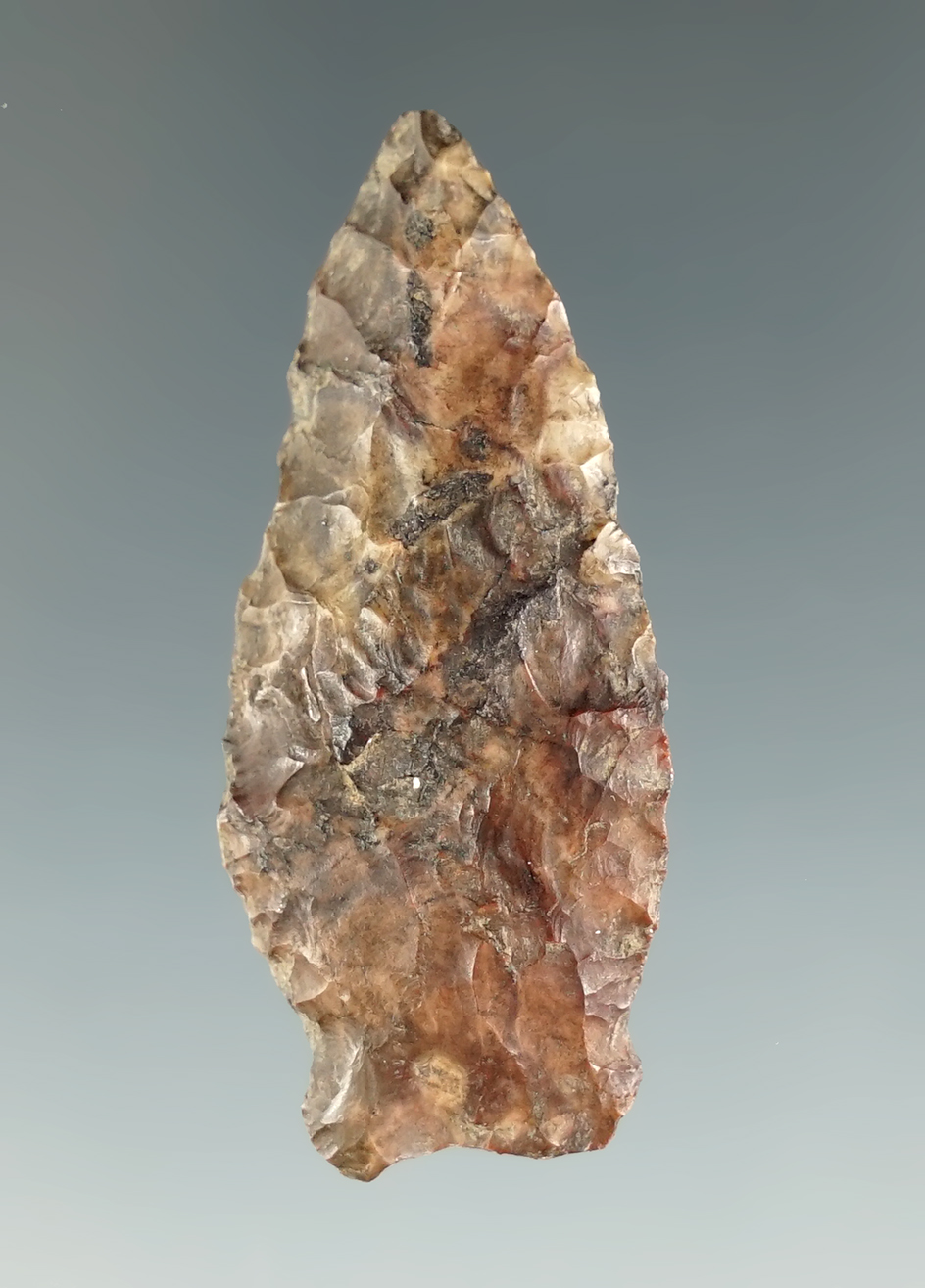 1 11/16" Humboldt Fish Tail made from Jasper. Found in Washington. Ex. Ratray, Jim Hogue.