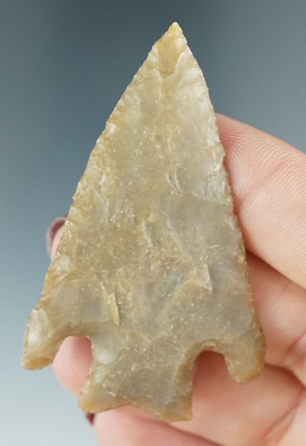 2 3/8" Semi-translucent Marcos Point found in Wilson Co., Texas.