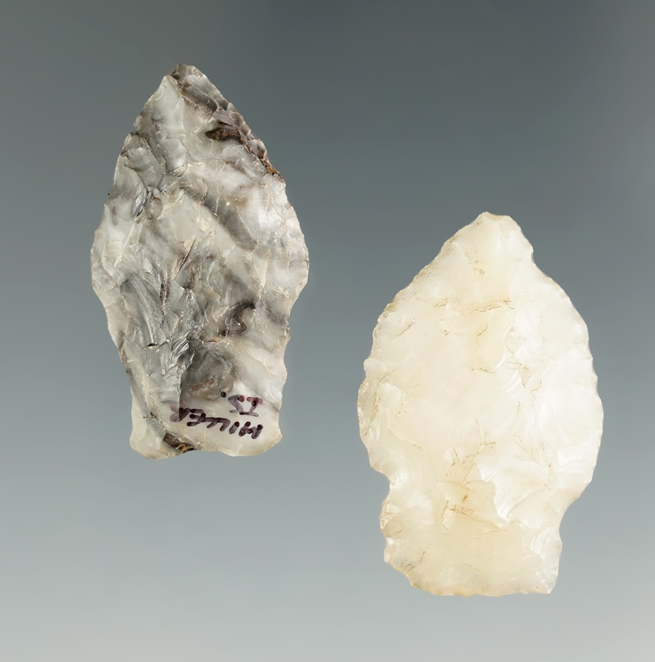 Pair of Paleo Spedis Points. Largest is 1 5/16". Found near the Columbia River. One is pictured!