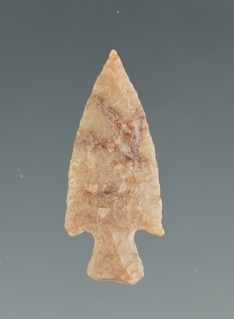 7/8" Dagger Point that is very thin. Found near the Columbia River.