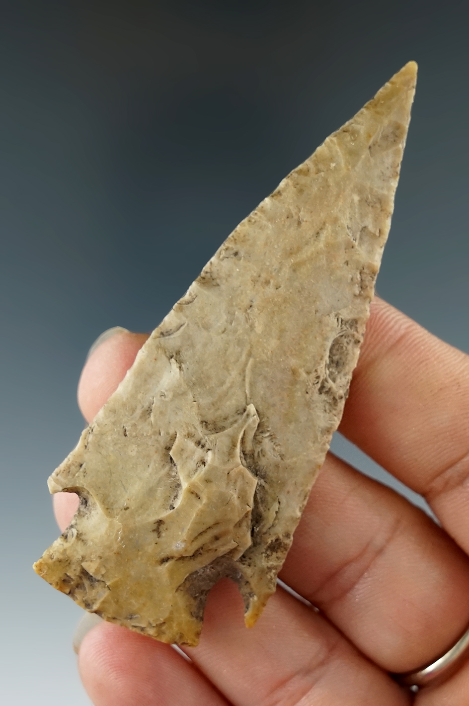 3 1/16" Castroville found in Burnet Co., Texas. Ex. Guy Gross. Comes with a Rogers COA.