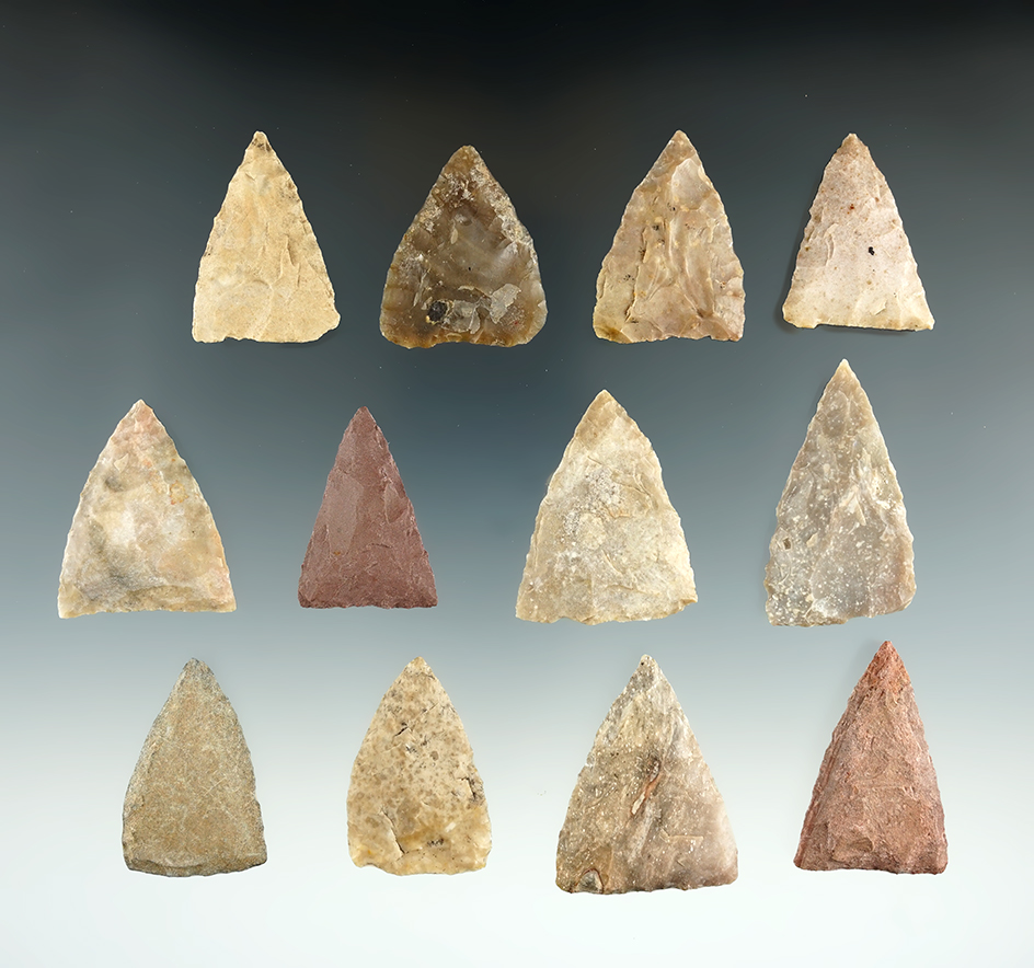 Group of 12 Tortugas, largest is 1 1/2", found in Big Bend area of Texas by Randy Sunderland.