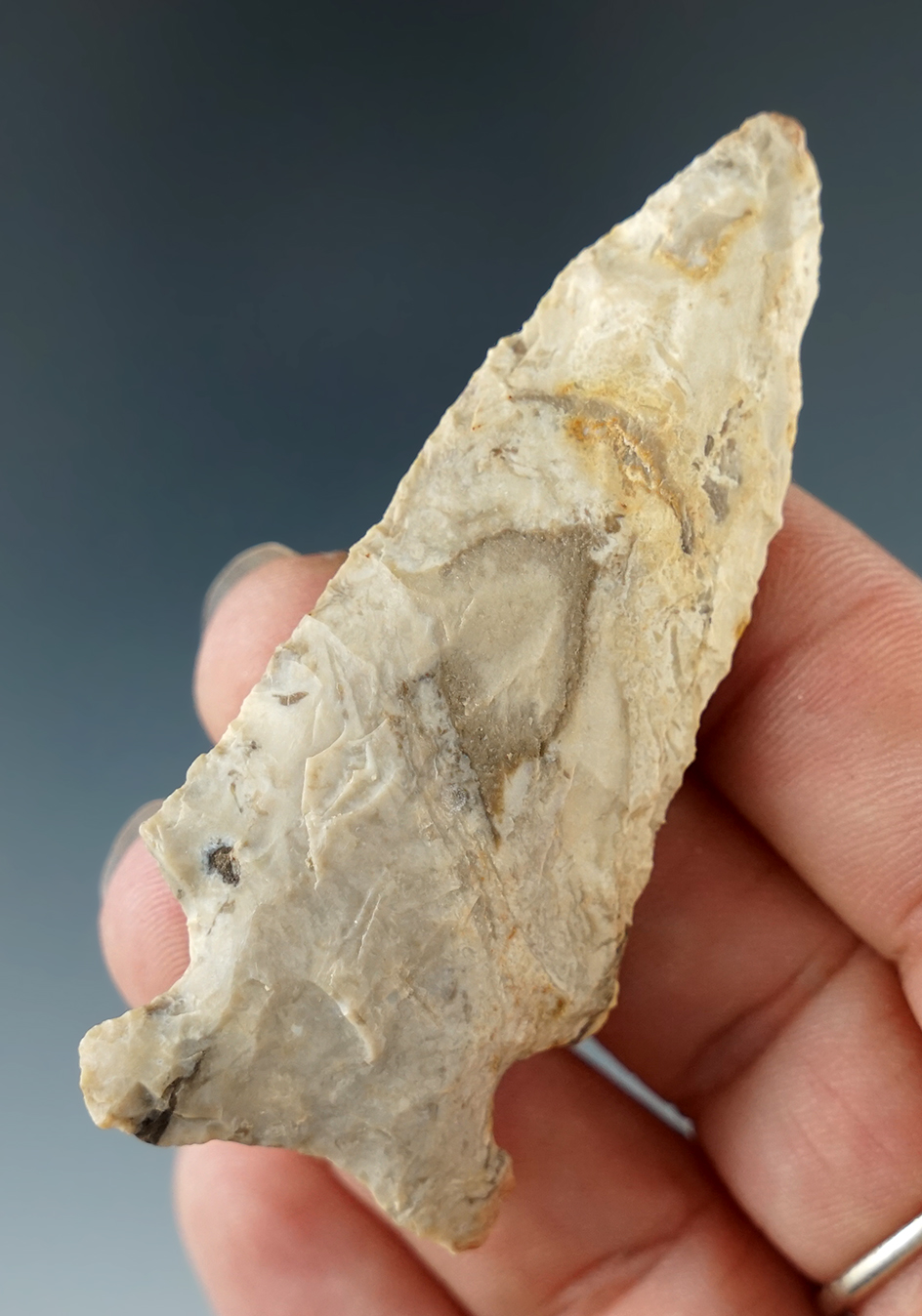 2 3/4" Sidenotch found in Missouri.