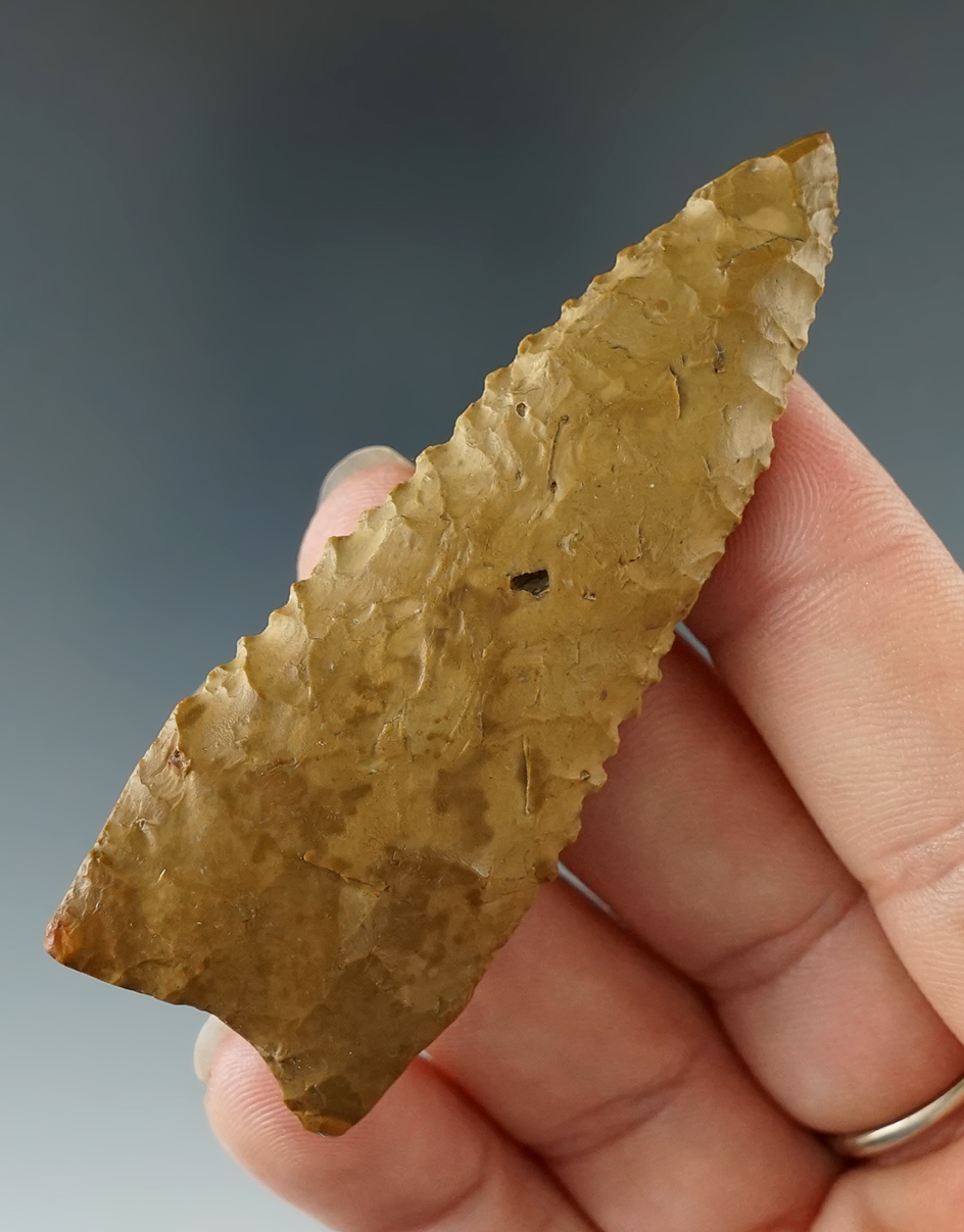 Rare Paleo style! 2 13/16" Allen point found by Dan Miller and Angelina Co., Texas.  Rogers COA.