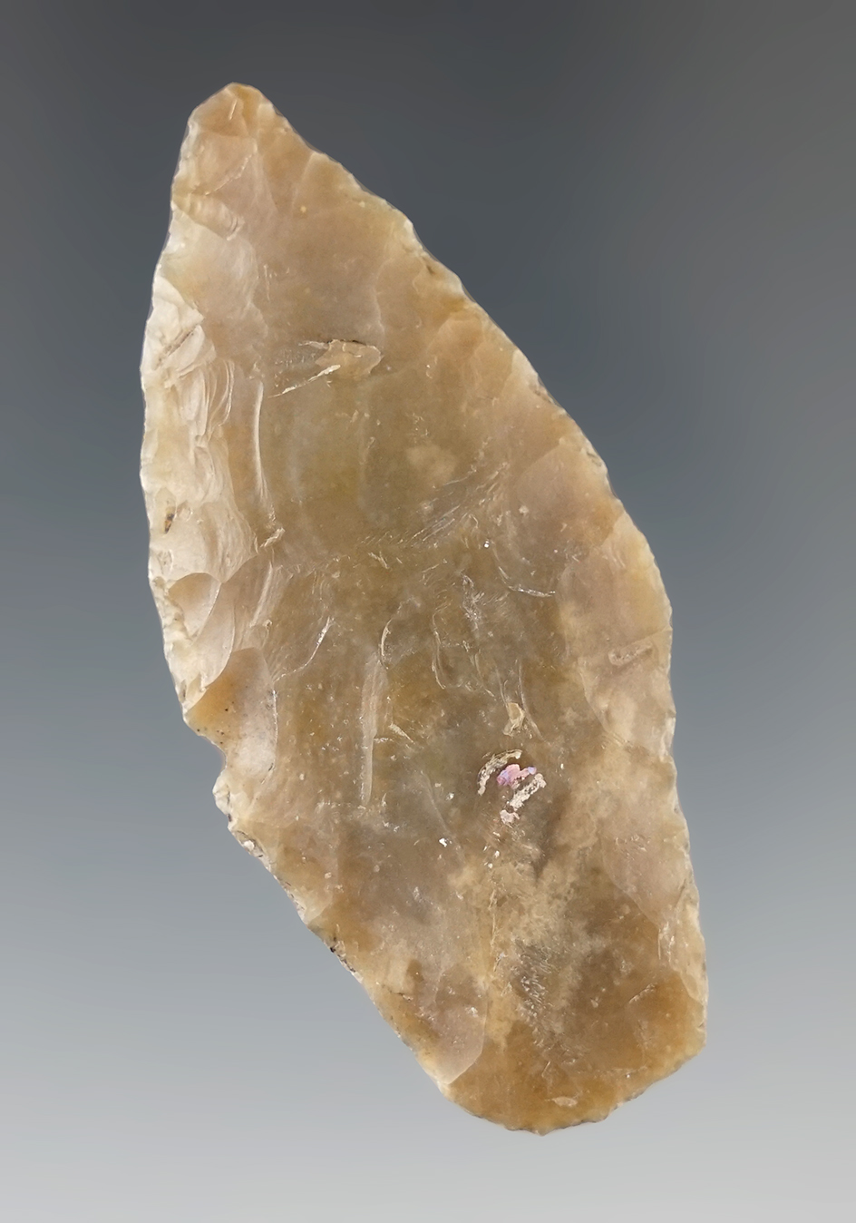 2 7/16" Zella point found in central Texas. Comes with a Roger COA.