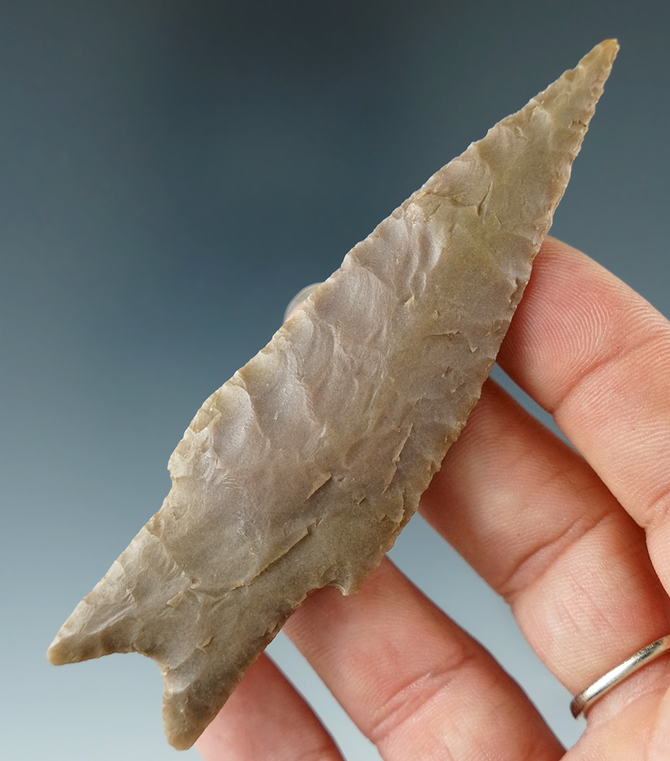 Nice! 3 11/16" Classic style Pedernales point that is thin and well flaked found in Texas.