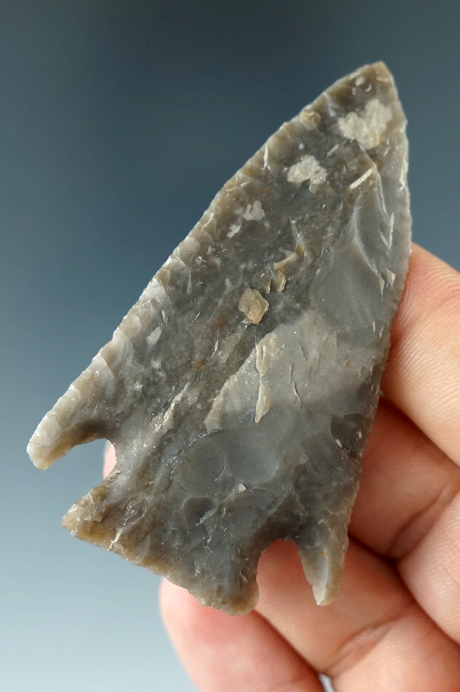 2 5/8" Cornernotch found near Salado Texas that is nicely styled. Ex. Chester Casey.