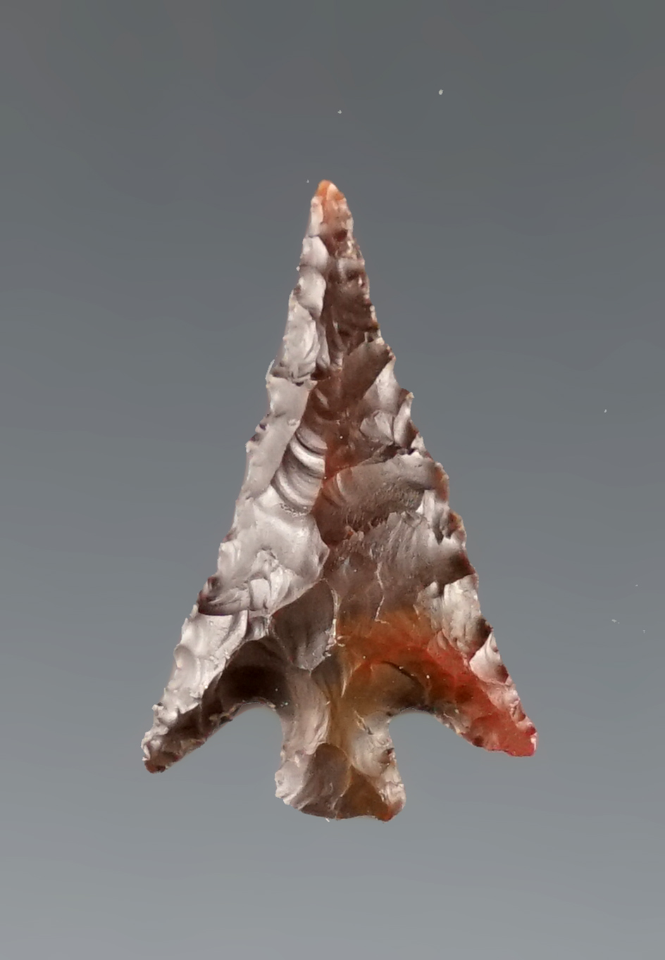 13/16" Jasper Columbia Plateau that is nicely styled found in Washington.