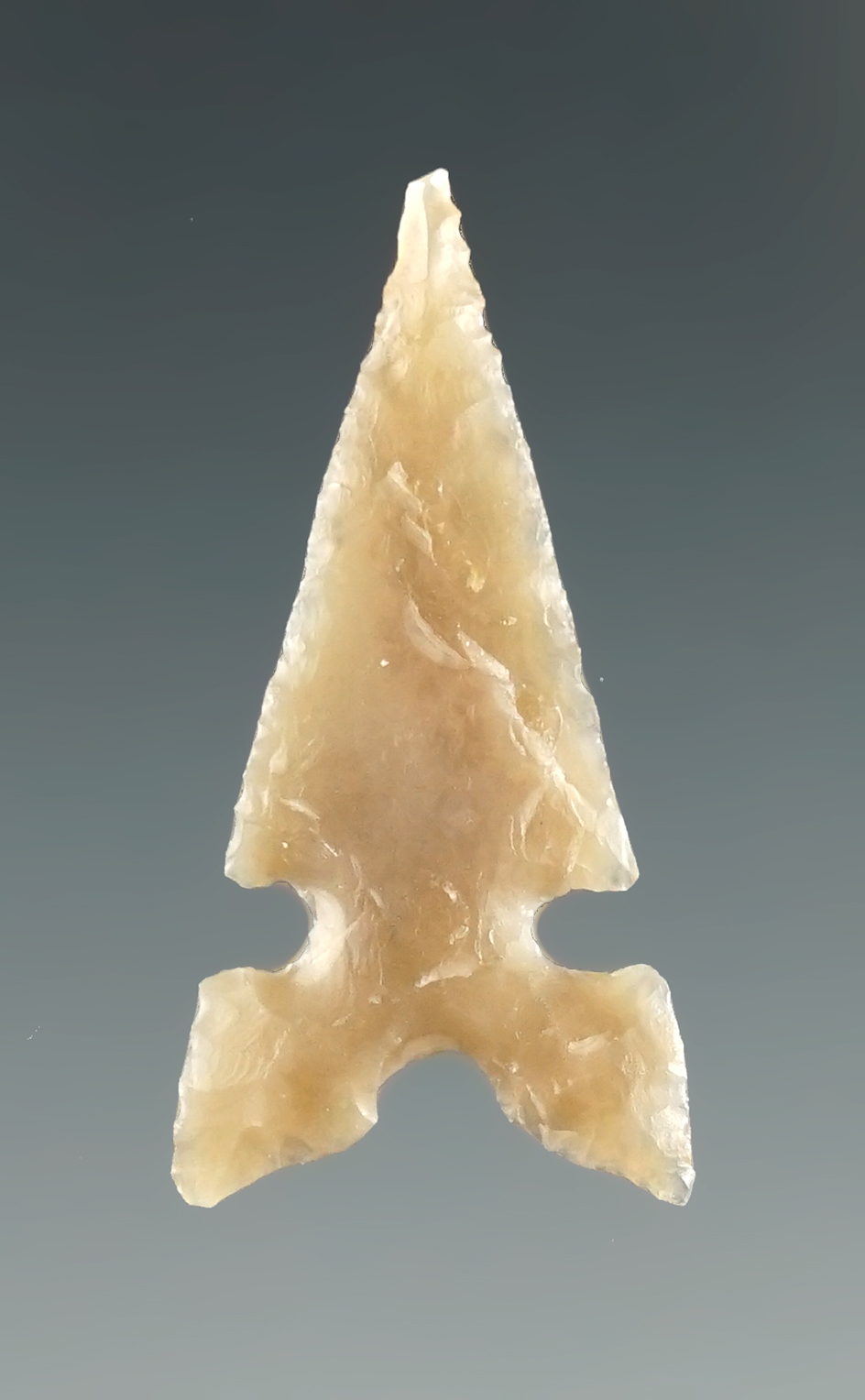 Thin and exceptionally well flaked 1 1/8" Toyota point. Found in Texas.