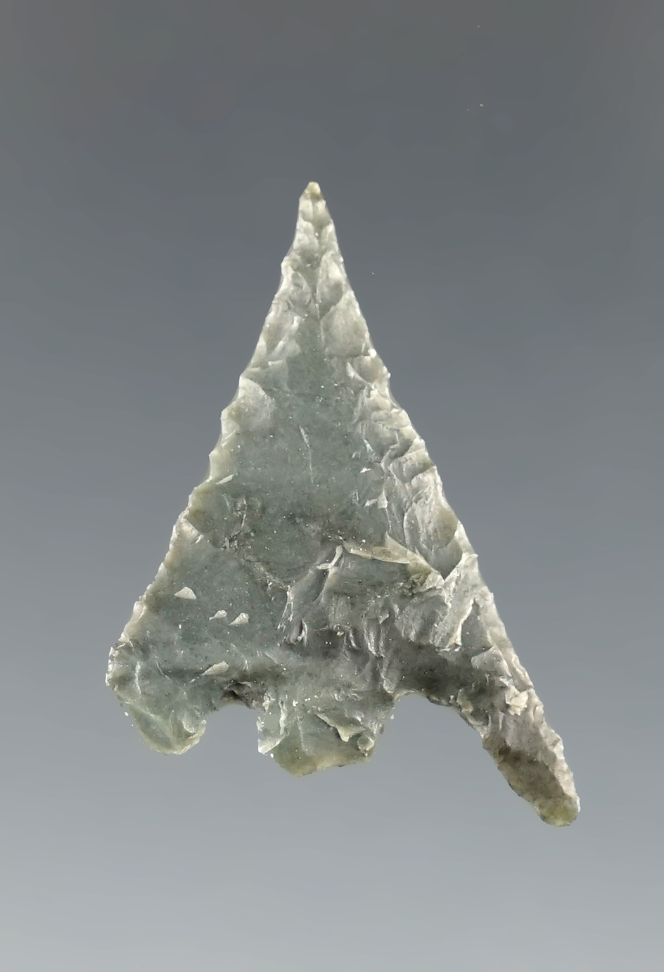 1 1/8" Gunther found in southern Oregon.