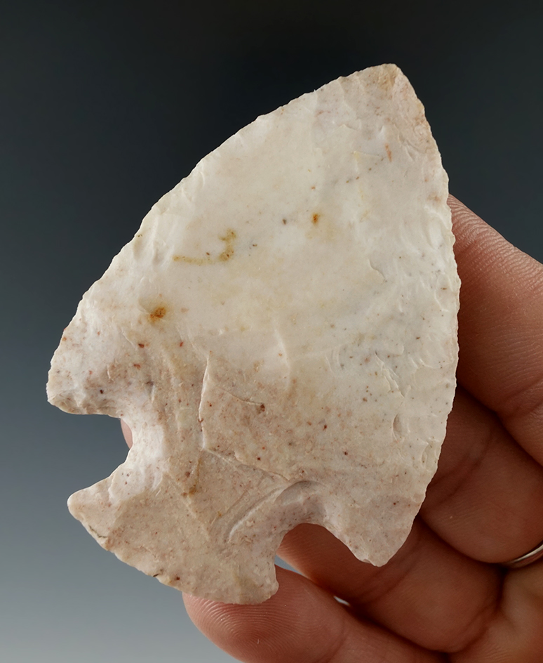 2 11/16" Snyders made from attractive Burlington Chert found in Jackson Co., Illinois.  Dickey COA.