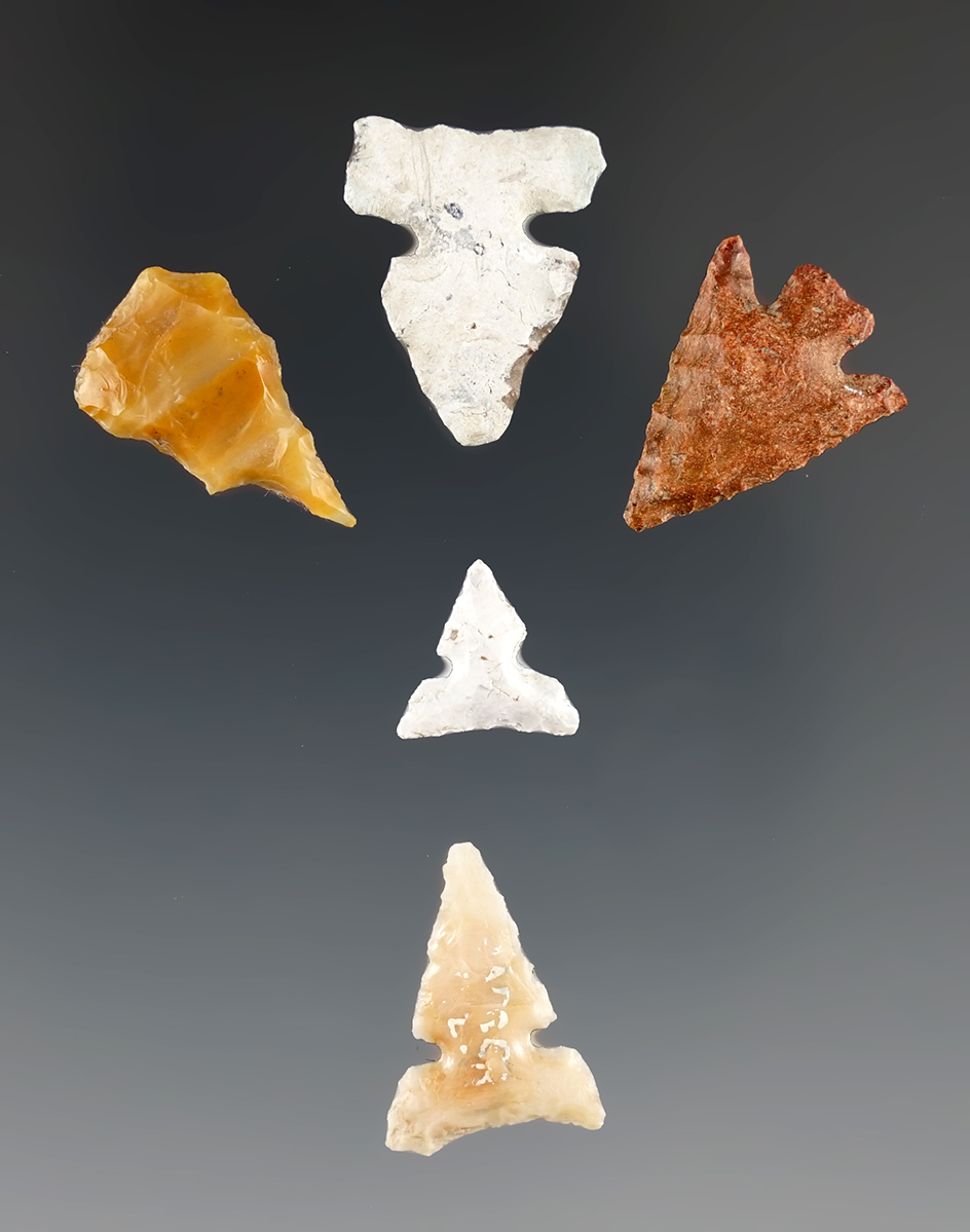 Set of five small arrow points flaked all found near the Columbia River. Largest is 3/4".