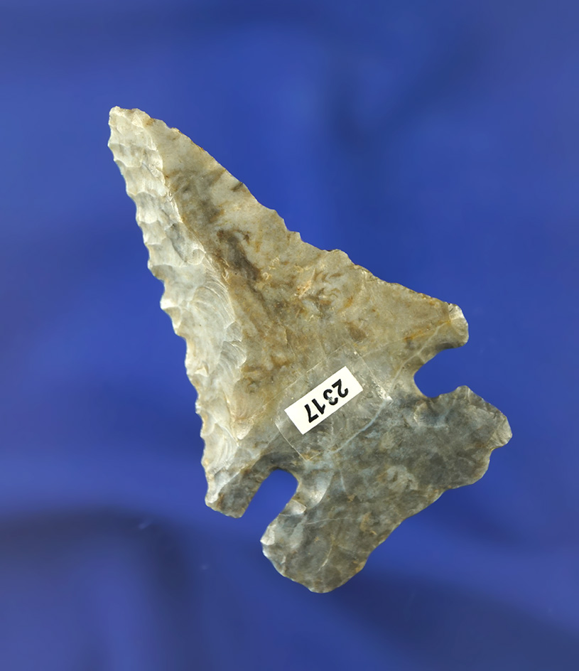 2 7/16" Archaic Thebes Bevel found in Ohio made from nicely colored Flint Ridge Flint. Ex.  Kley.