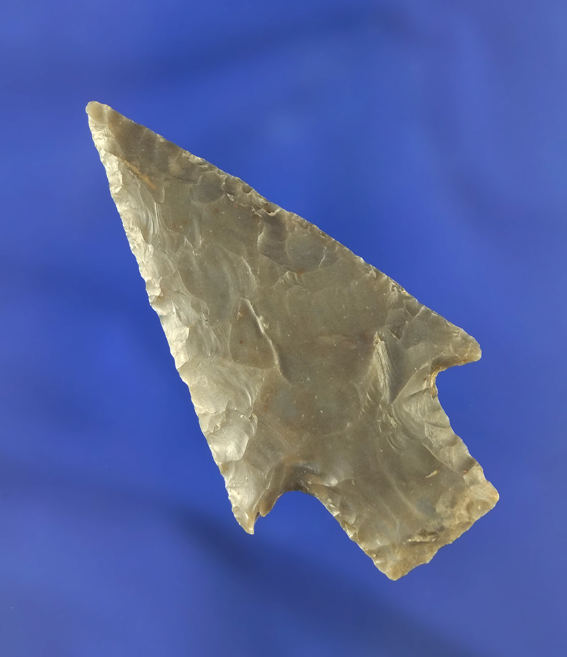 2 7/8" Bulverde point that is nicely made found in Texas.