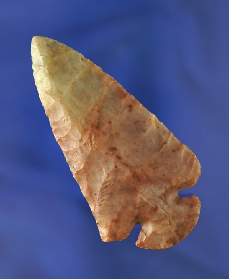 Beautiful color on this 3 3/16" Flint Ridge Flint Dovetail - Seneca Co., Ohio.  Bennett Micro COA.