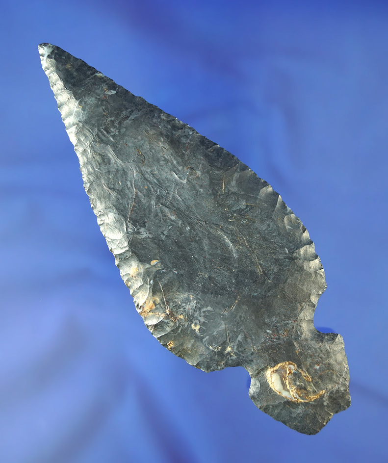 Sale Highlight! 6 1/8" Coshocton Flint Turkeytail found in Ohio. Ex. Max Shipley, 2 COA's.