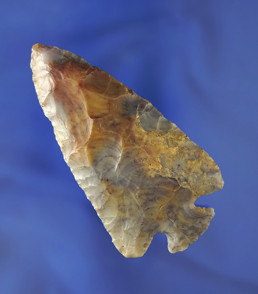 Extremely colorful 3 1/4" Purple, Red, Yellow Flint Ridge Button Base Dovetail - Wood Co., Ohio.