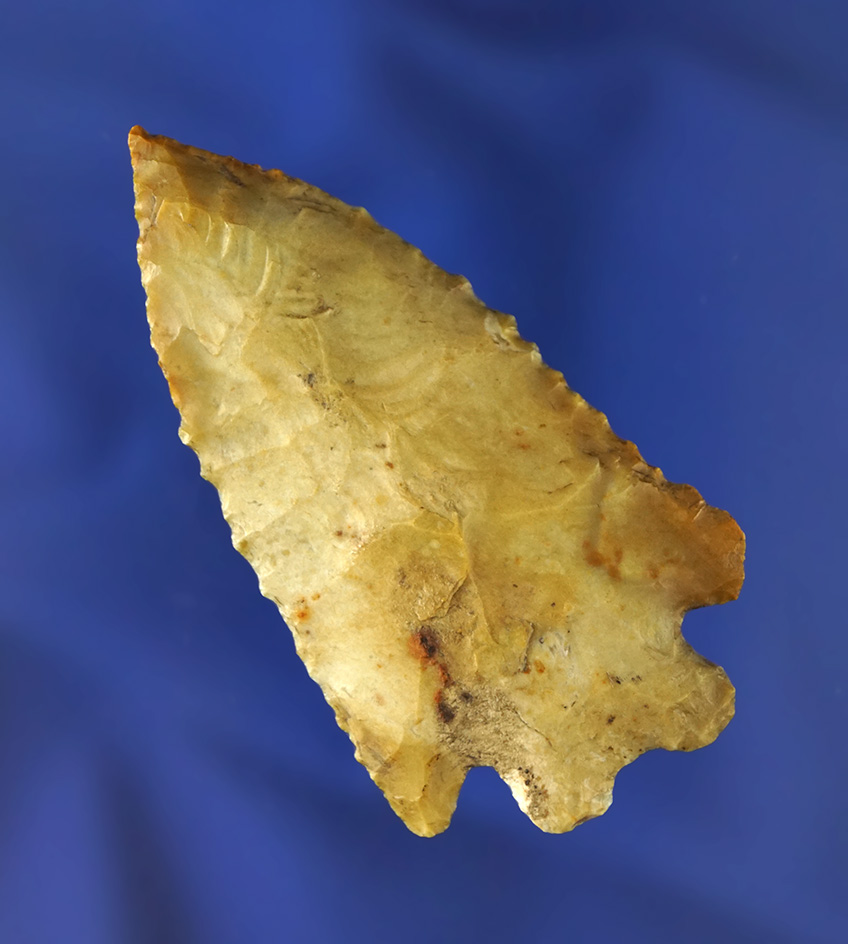 Very thin and nice 2 3/8" Archaic Bifurcate found in Wood Co., Ohio.