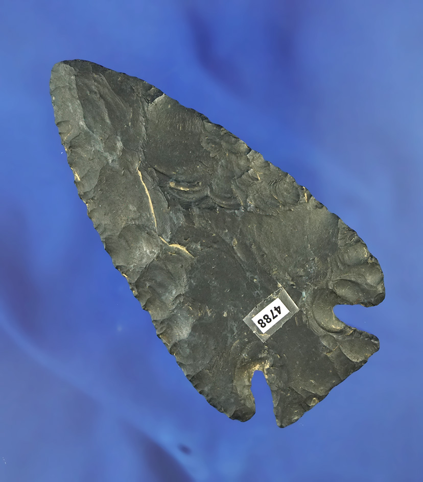 Excellent style and flaking on this 3 3/4" Coshocton Flint Archaic Cornernotch - Mercer Co., Ohio.