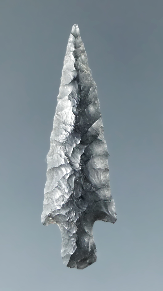 Nicely patinated 1 1/4" Obsidian Rose Springs found in Oregon.