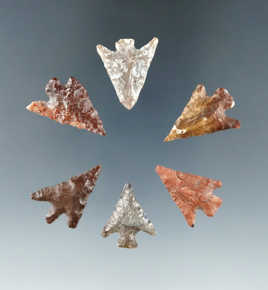 Set of 6 Columbia Plateau points found near the Columbia River. Largest is 15/16".