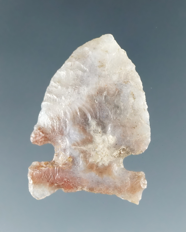 1 3/16" Bitterroot Sidenotch found near the Columbia River.