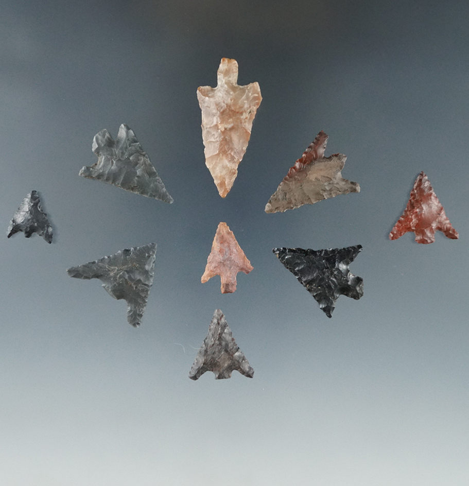 Set of 9 Columbia River arrowheads, largest is 1 3/8".