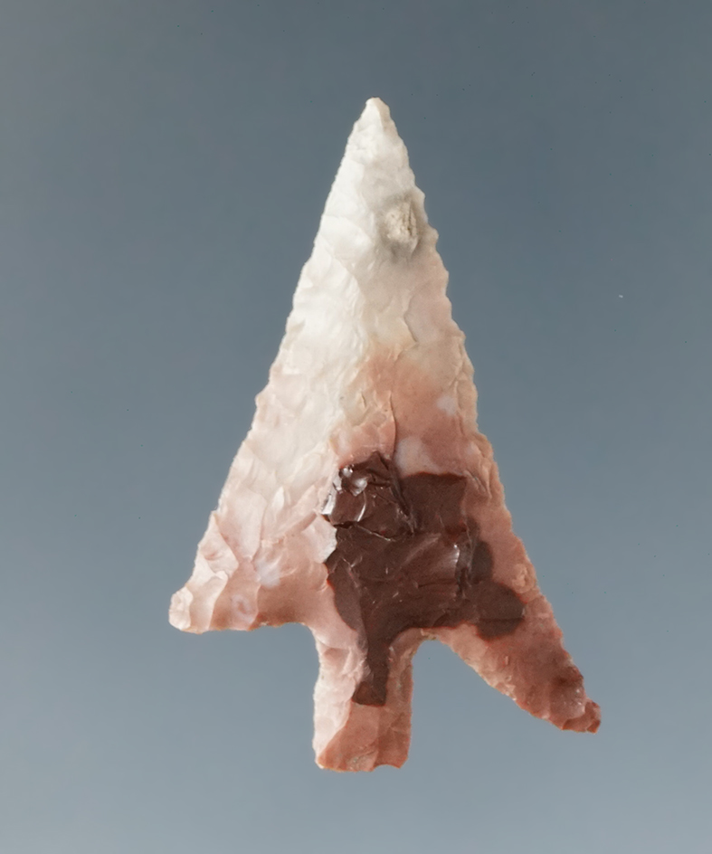 1 1/4" Columbia Plateau found by Dewey Schmid prior to 1950 near the Columbia River.