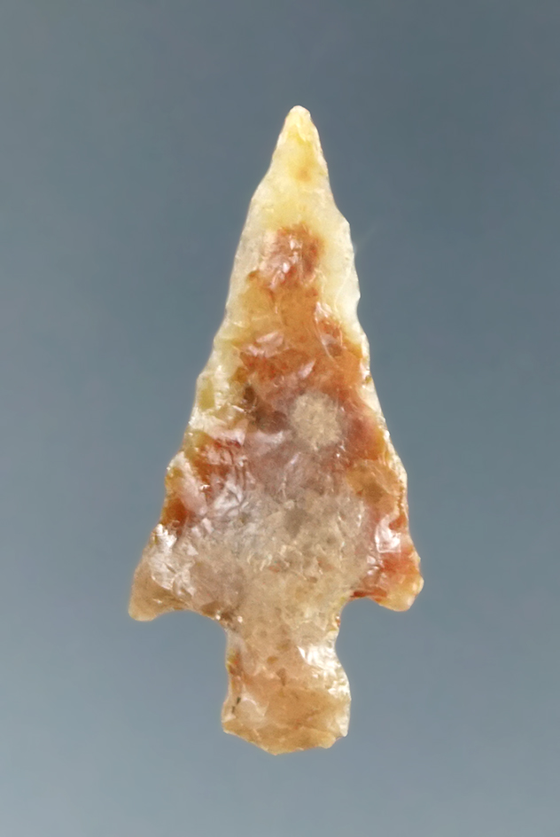 Ex. Museum! 1" Wallula found near the Columbia River.